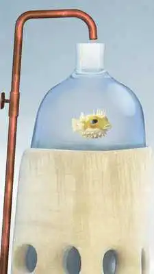 Play Flewn (Unreleased)