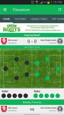 Play Flexsoccer