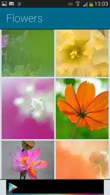 Play Flickr HD Backgrounds