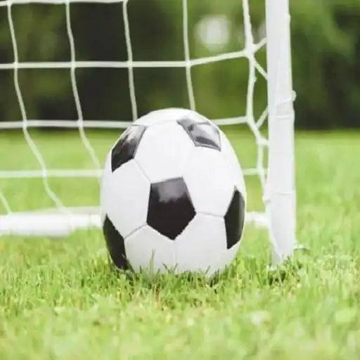 Free play online Flick Shoot (Soccer Football)  APK