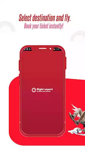 Play Flight Expert
