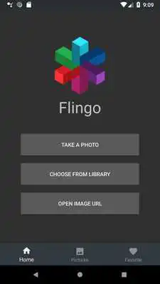Play Flingo