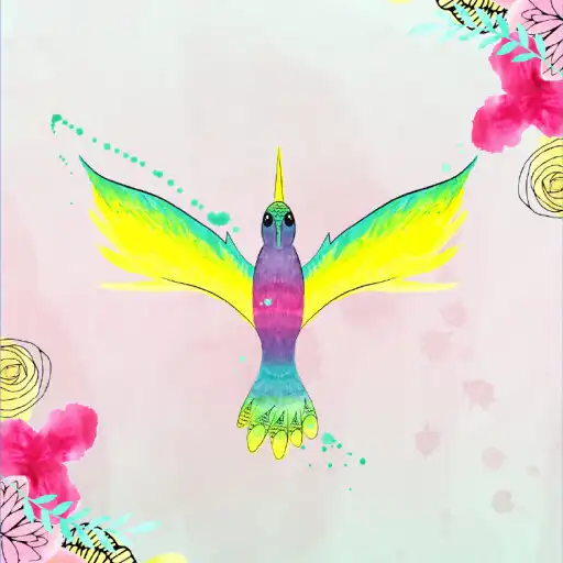 Play Félistique APK Play Félistique APK
