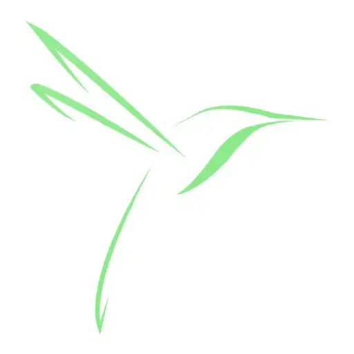 Play Flitt APK