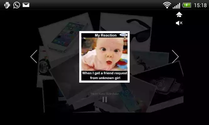 Play FLK PhotoFun