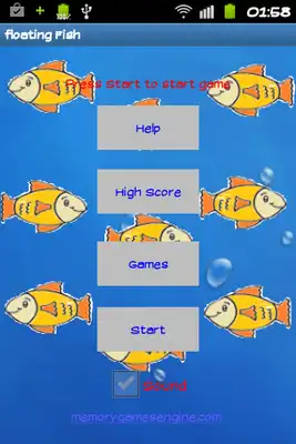 Play Floating Carp