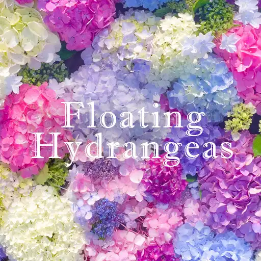 Play Floating Hydrangeas +HOME APK