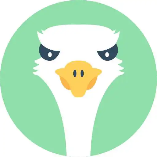 Play Flock Attack APK