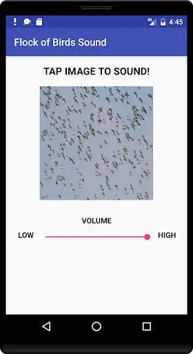 Play Flock of Birds Sound as an online game Flock of Birds Sound with UptoPlay