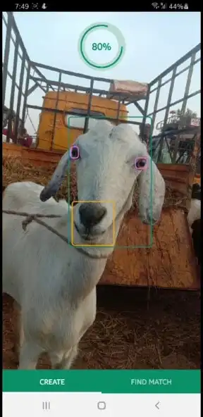 Play Flok FaceID  and enjoy Flok FaceID with UptoPlay