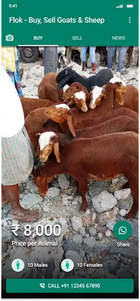 Play Flok  and enjoy Flok with UptoPlay