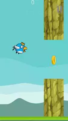 Play Floppy King Bird 2D