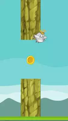 Play Floppy King Bird 2D