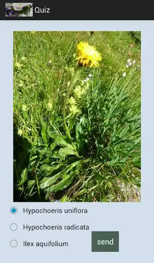 Play flora_austriaca_quiz as an online game flora_austriaca_quiz with UptoPlay