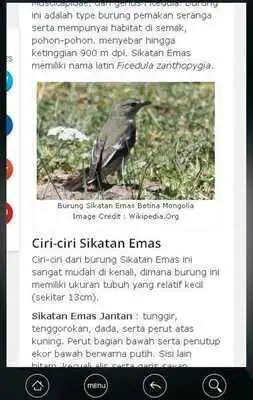 Play Flora dan Fauna Indonesia