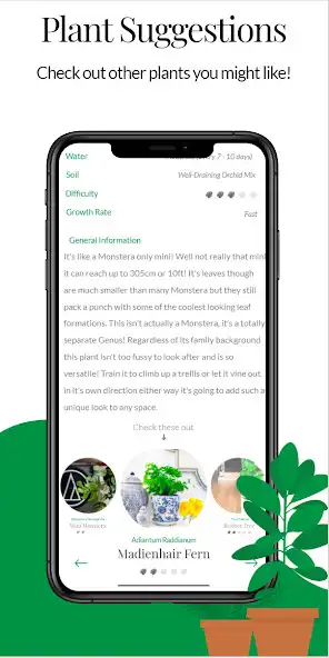 Play Flora - Houseplant Care as an online game Flora - Houseplant Care with UptoPlay