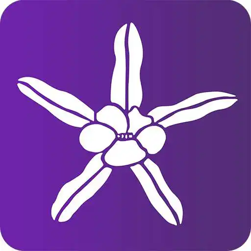 Play Florais de Saint Germain APK Play Florais de Saint Germain APK