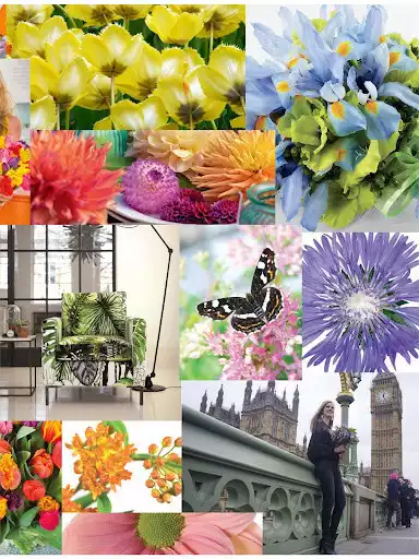 Play Floral Fundamentals as an online game Floral Fundamentals with UptoPlay