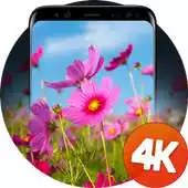 Free play online Floral wallpaper 4K APK Free play online Floral wallpaper 4K APK