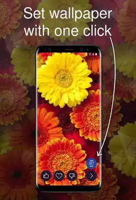 Play Floral wallpaper 4K