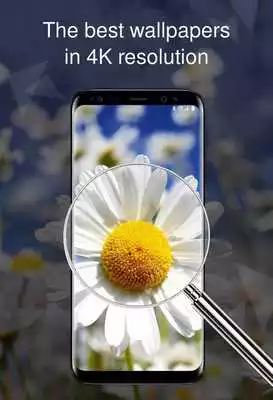 Play Floral wallpaper 4K