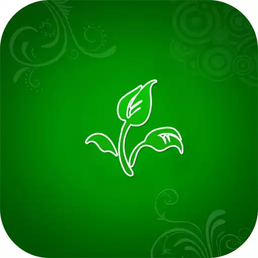 Free play online Floral wallpaper for whatsapp APK Free play online Floral wallpaper for whatsapp APK