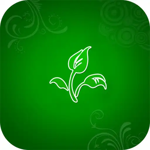 Play Floral wallpaper for whatsapp APK