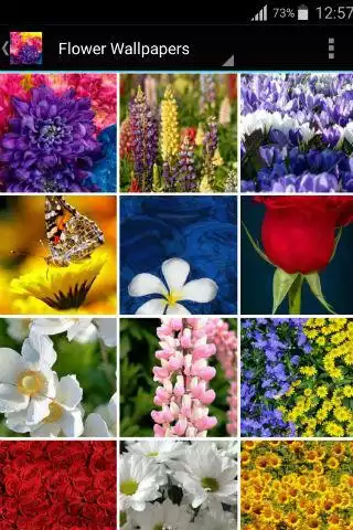 Play APK Floral Wallpapers  and enjoy Floral Wallpapers with UptoPlay com.zexica.app.floral.wallpapers