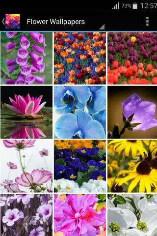 Play APK Floral Wallpapers  and enjoy Floral Wallpapers with UptoPlay com.zexica.app.floral.wallpapers