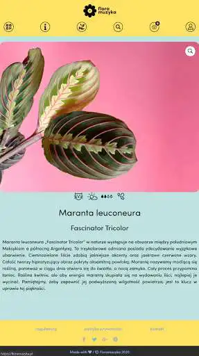 Play Flora Muzyka  and enjoy Flora Muzyka with UptoPlay