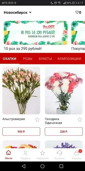 Play FloraOpt  and enjoy FloraOpt with UptoPlay