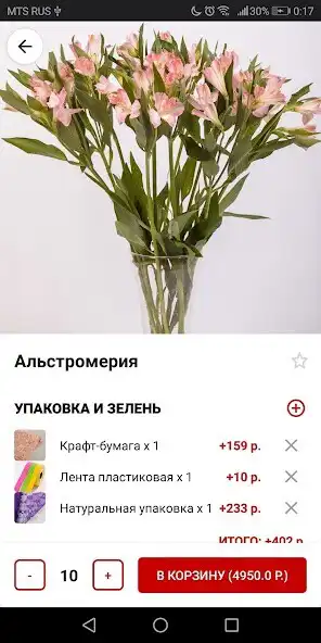 Play FloraOpt as an online game FloraOpt with UptoPlay