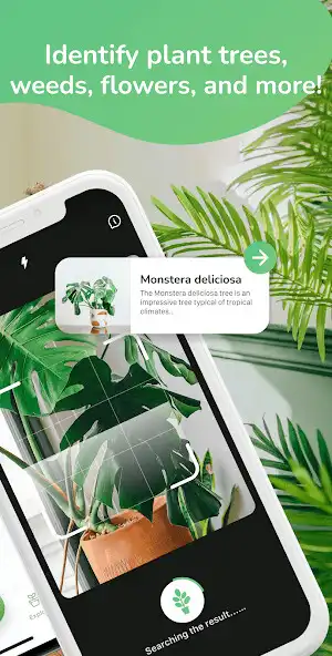 Play Flora  Plant identification as an online game Flora  Plant identification with UptoPlay