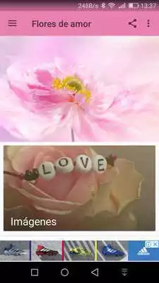 Play Flores Bonitas con Poemas y Versos