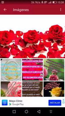 Play Flores Bonitas con Poemas y Versos