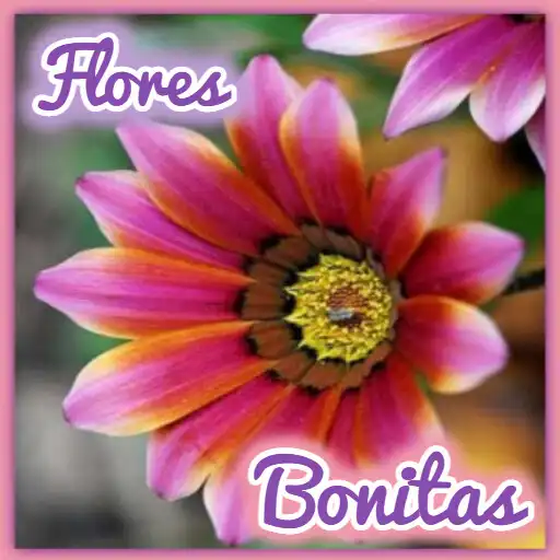 Play Flores Bonitas APK Play Flores Bonitas APK