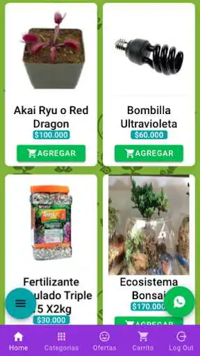 Play flores colombianas  and enjoy flores colombianas with UptoPlay