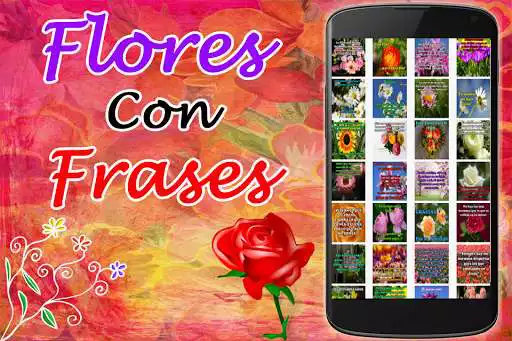 Play Flores Con Frases