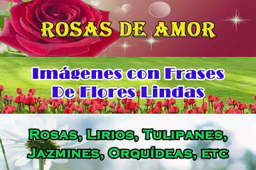 Play Flores Con Frases