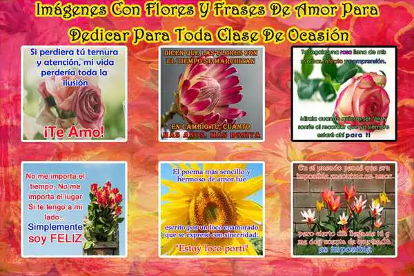 Play Flores Con Frases