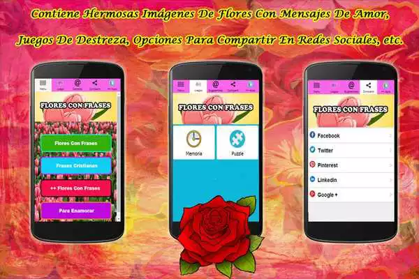Play Flores Con Frases