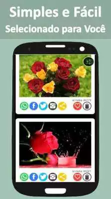 Play Flores lindas  and enjoy Flores lindas with UptoPlay