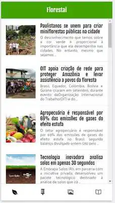 Play Florestal