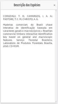Play Florestal
