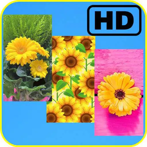 Play Flores - Wallpapers HD APK