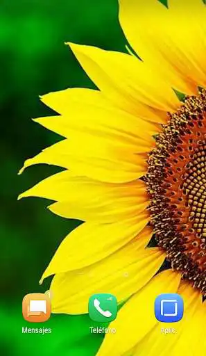 Play Flores - Wallpapers HD and enjoy Flores - Wallpapers HD with UptoPlay Play Flores - Wallpapers HD and enjoy Flores - Wallpapers HD with UptoPlay