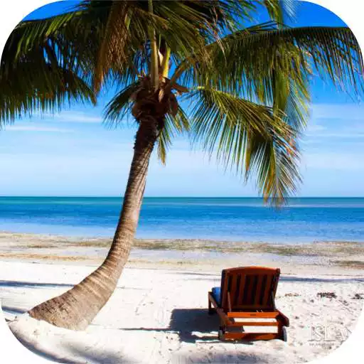 Play Florida Local News APK Play Florida Local News APK