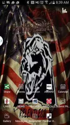 Play Florin Panthers Football