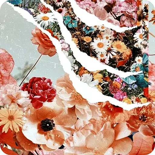 Play Flower Aesthetic Wallpaper 4K HD APK Play Flower Aesthetic Wallpaper 4K HD APK
