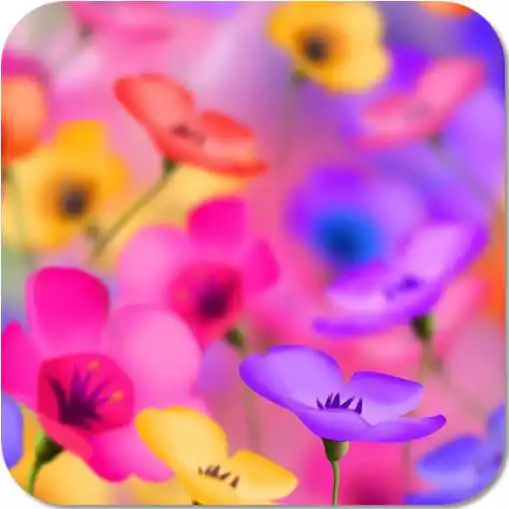 Free play online Flower Beauty HD Wallpapers  APK